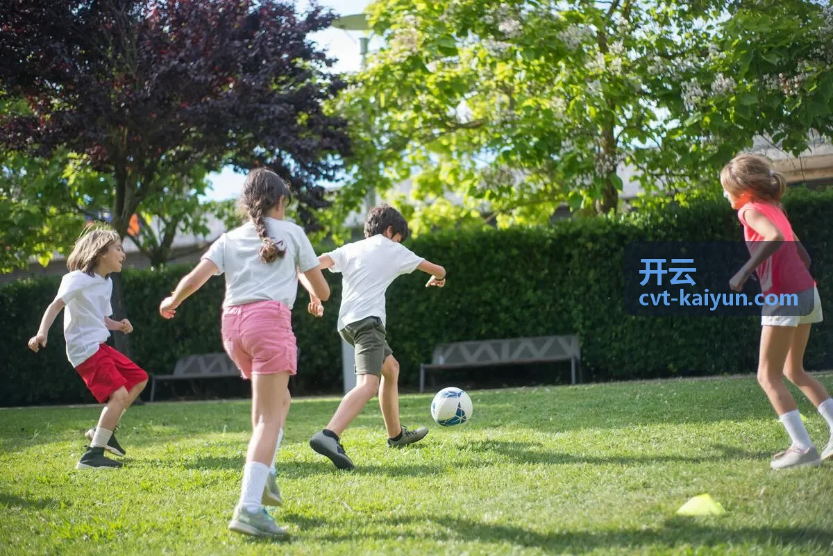 开云结果分析解决方案封面图